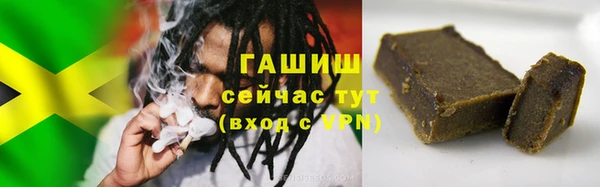 гидра Алексеевка