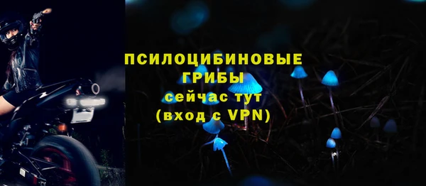 2c-b Абдулино