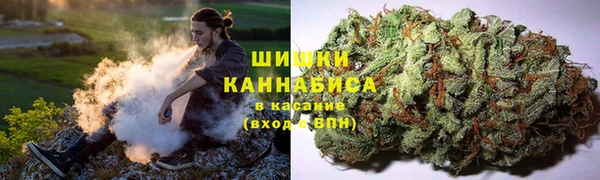 СК Абинск
